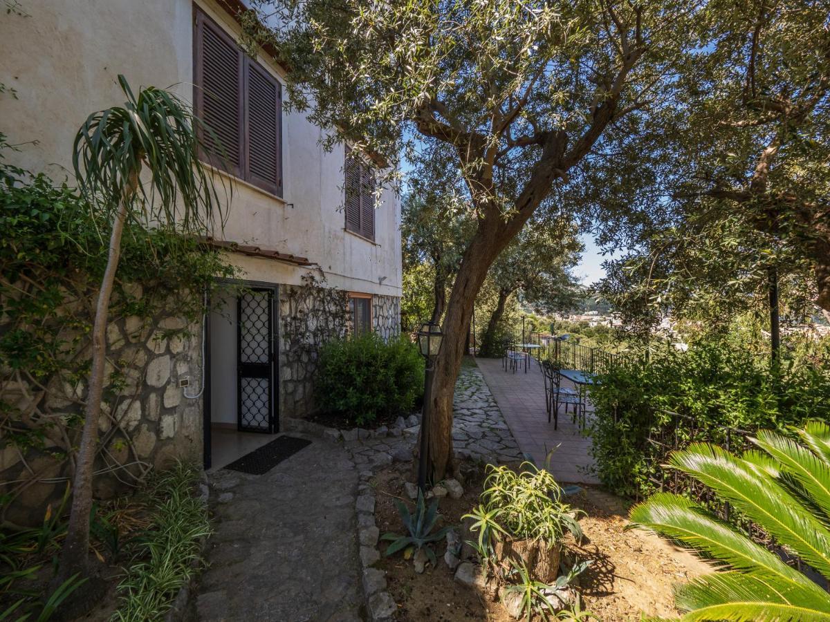 Ulivi Apt Villa Sorrento Ngoại thất bức ảnh