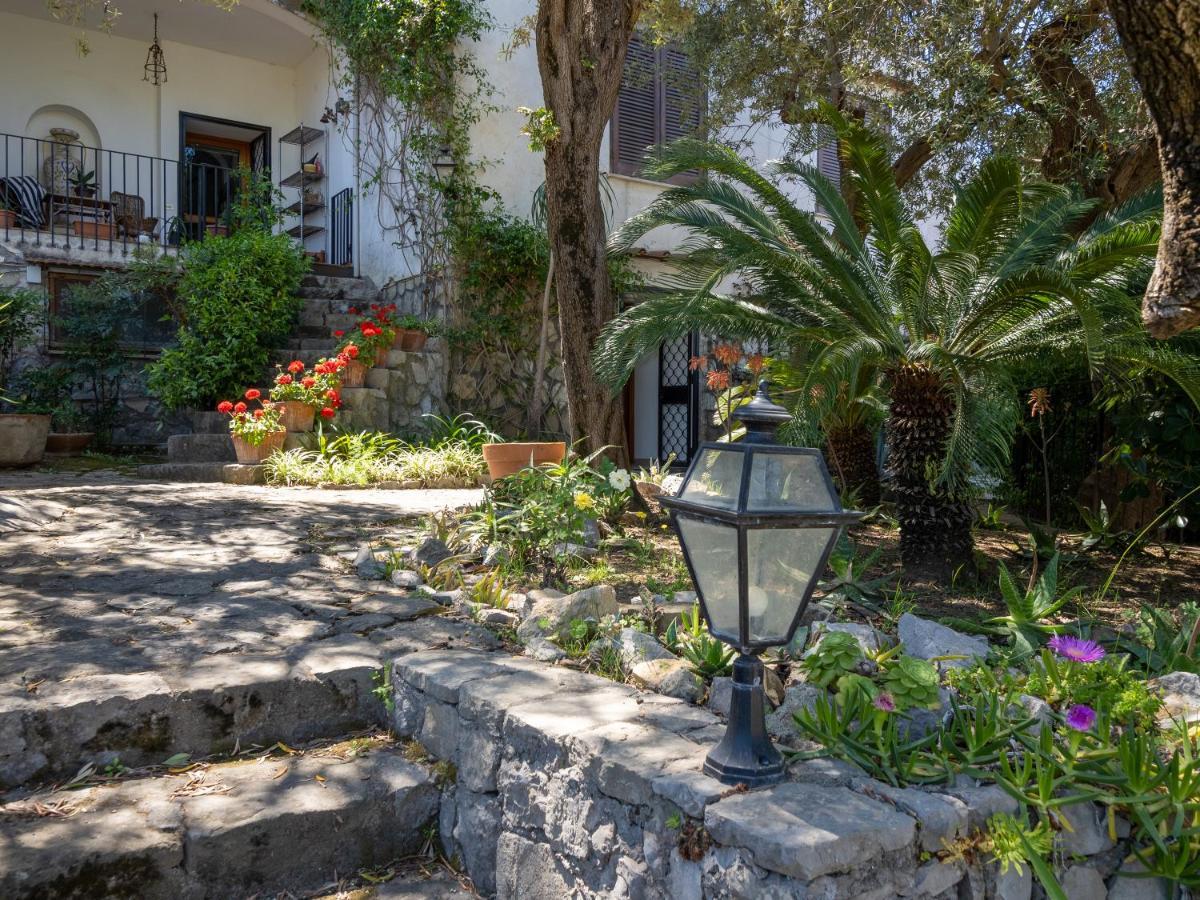 Ulivi Apt Villa Sorrento Ngoại thất bức ảnh