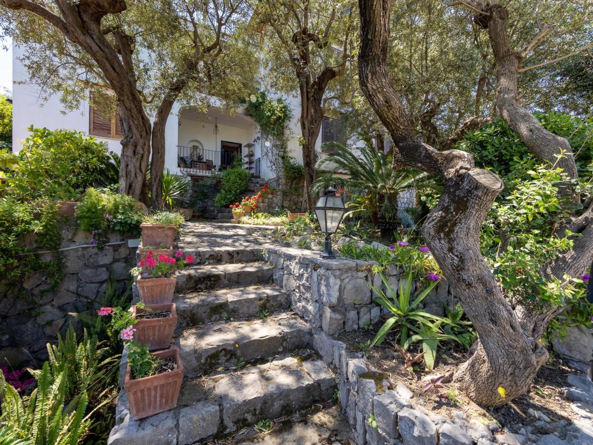 Ulivi Apt Villa Sorrento Ngoại thất bức ảnh