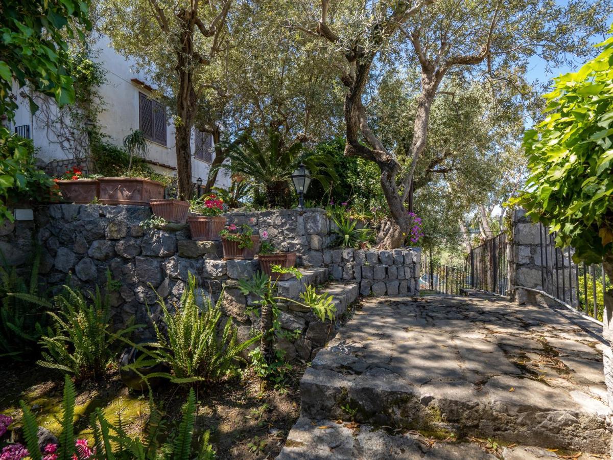 Ulivi Apt Villa Sorrento Ngoại thất bức ảnh